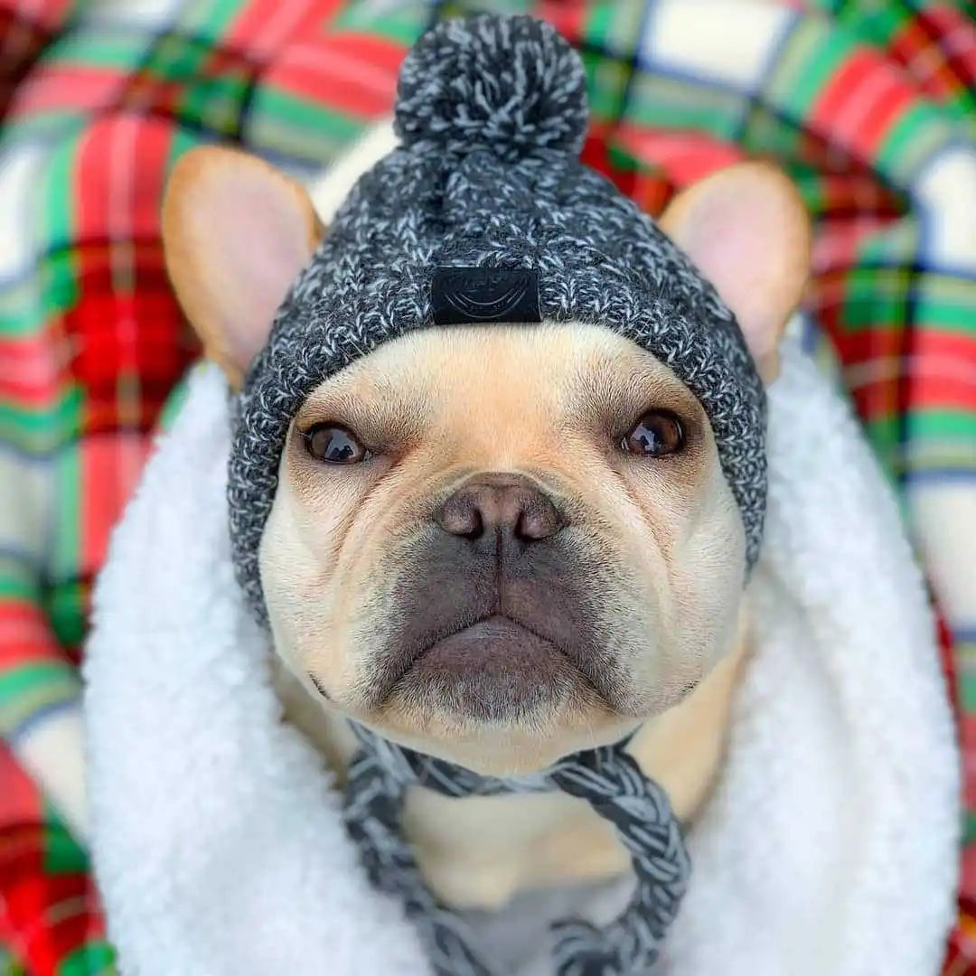 Winter Warm Dog Knitted Hat