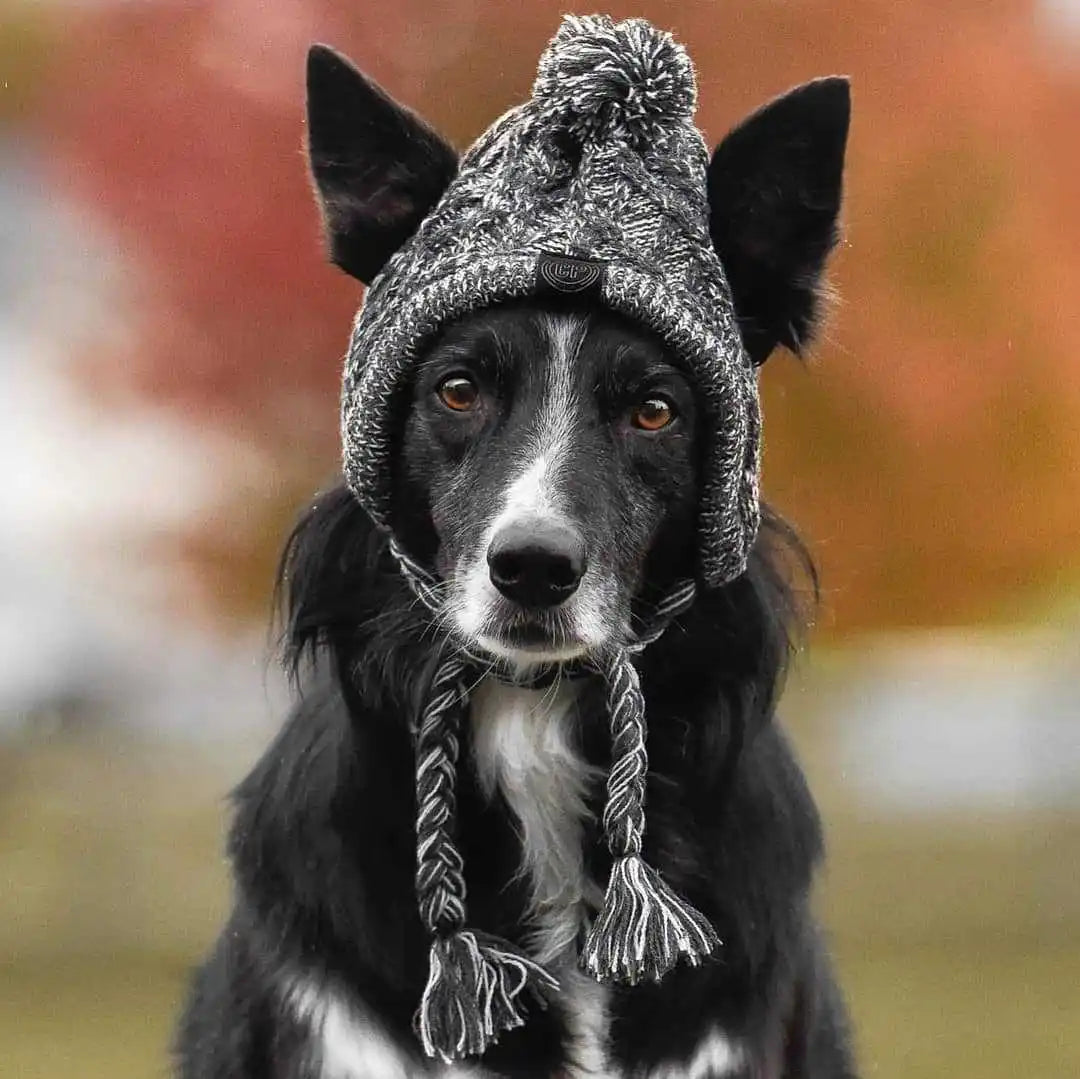 Winter Warm Dog Knitted Hat