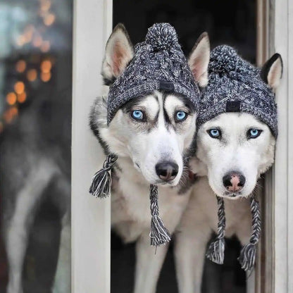 Winter Warm Dog Knitted Hat