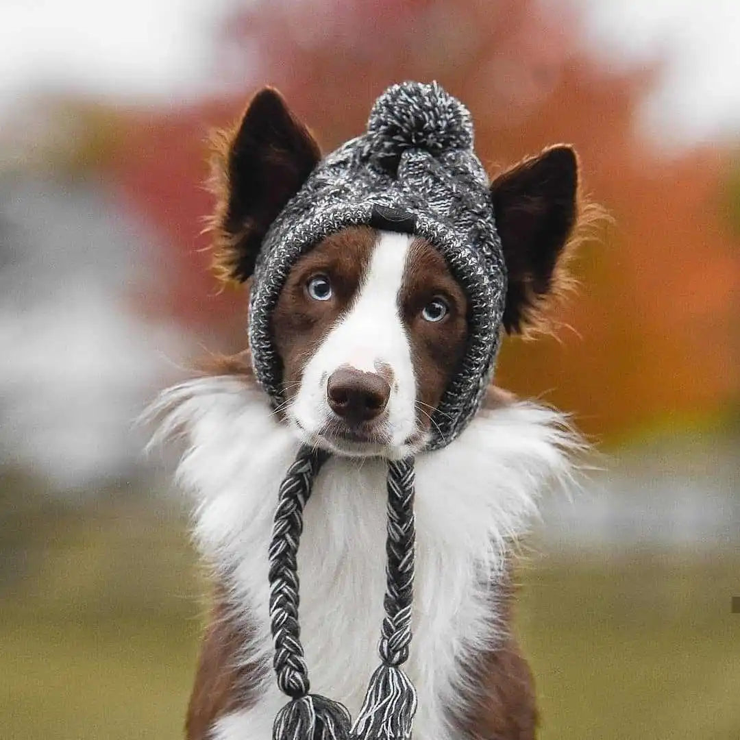 Winter Warm Dog Knitted Hat