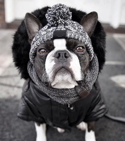 Winter Warm Dog Knitted Hat