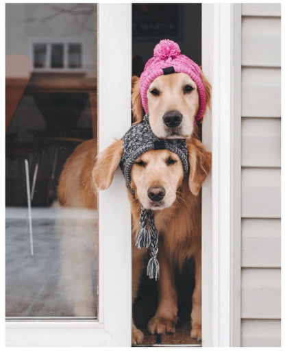 Winter Warm Dog Knitted Hat