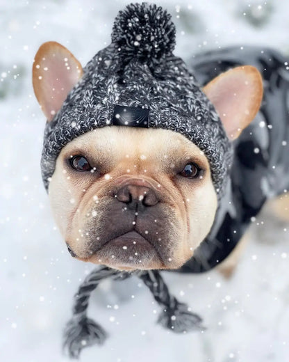 Winter Warm Dog Knitted Hat