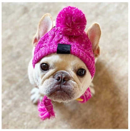 Winter Warm Dog Knitted Hat