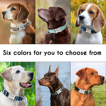 Personalized Nylon Pet Dog / Cat Collar