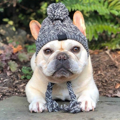 Winter Warm Dog Knitted Hat