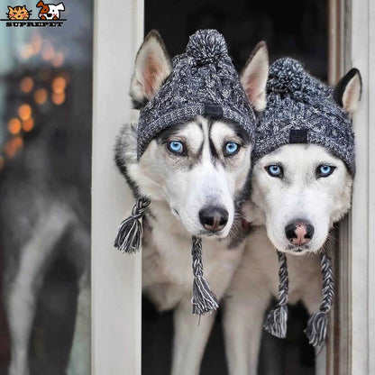 Winter Warm Dog Knitted Hat