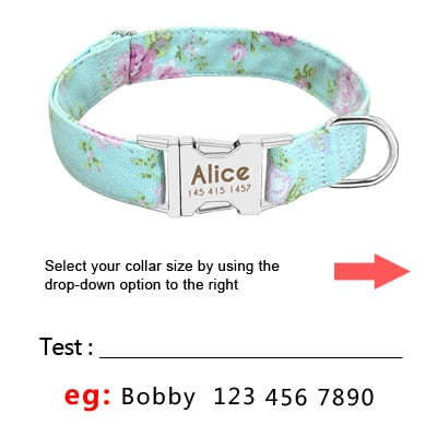 Personalized Nylon Pet Dog / Cat Collar