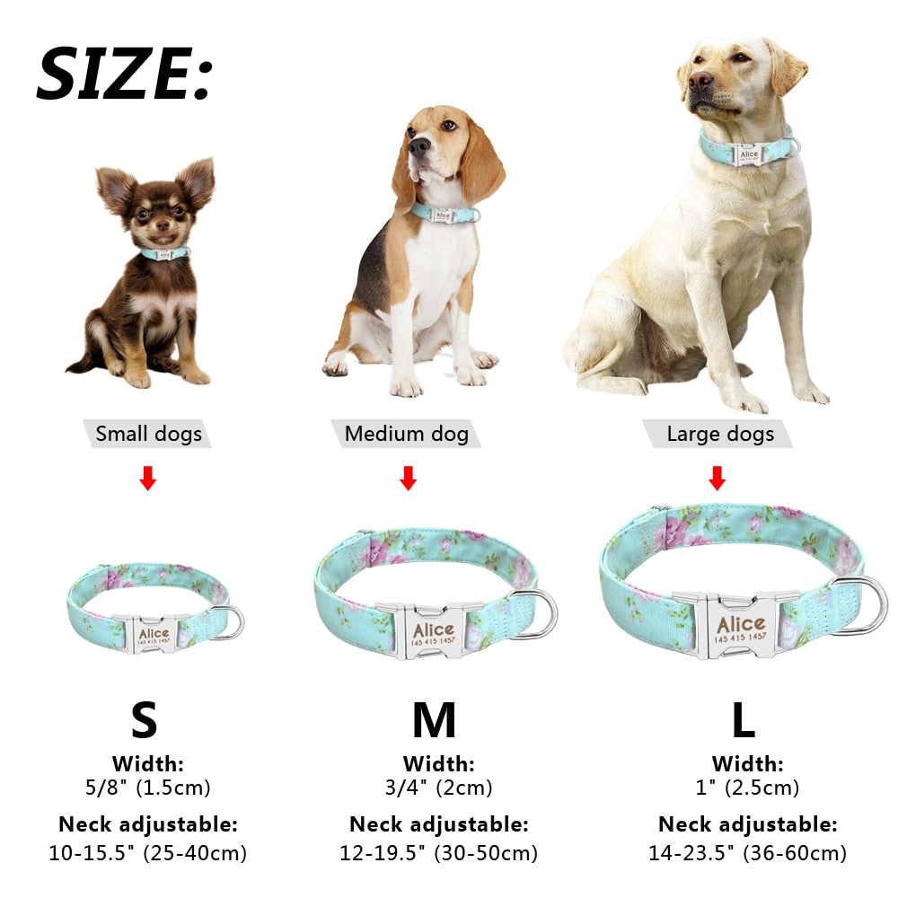 Personalized Nylon Pet Dog / Cat Collar