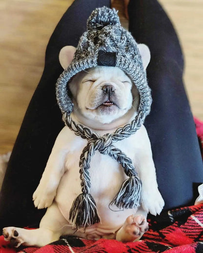 Winter Warm Dog Knitted Hat