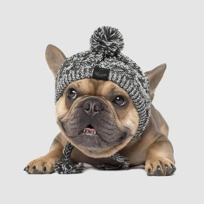 Winter Warm Dog Knitted Hat