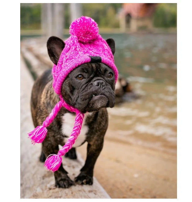 Winter Warm Dog Knitted Hat