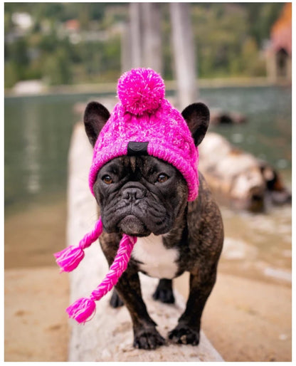 Winter Warm Dog Knitted Hat