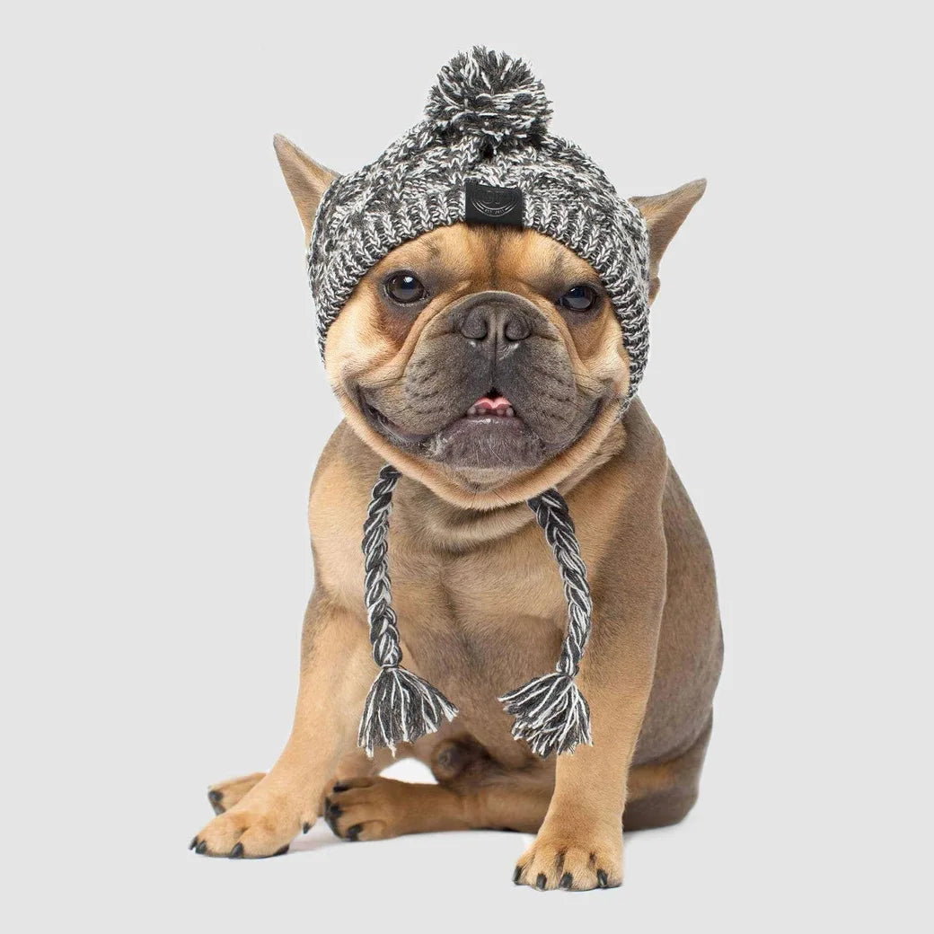 Winter Warm Dog Knitted Hat