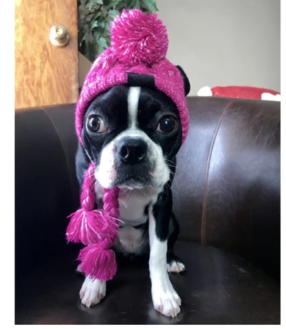 Winter Warm Dog Knitted Hat