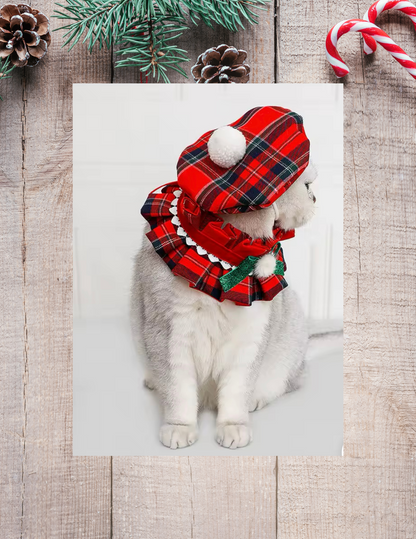 Holiday Hat and Scarf Collar/Bib