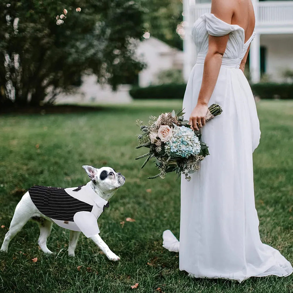 Tuxedo Suit with Bow-tie