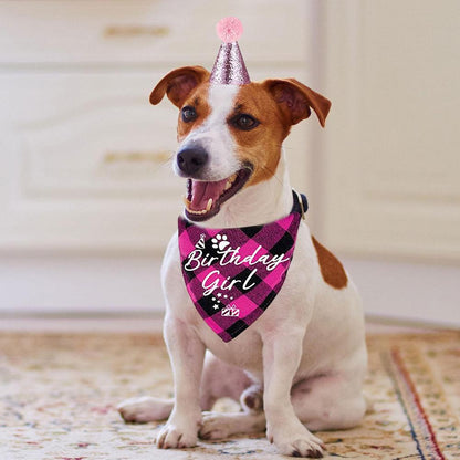 Birthday Pawty Hat and Triangle Scarf