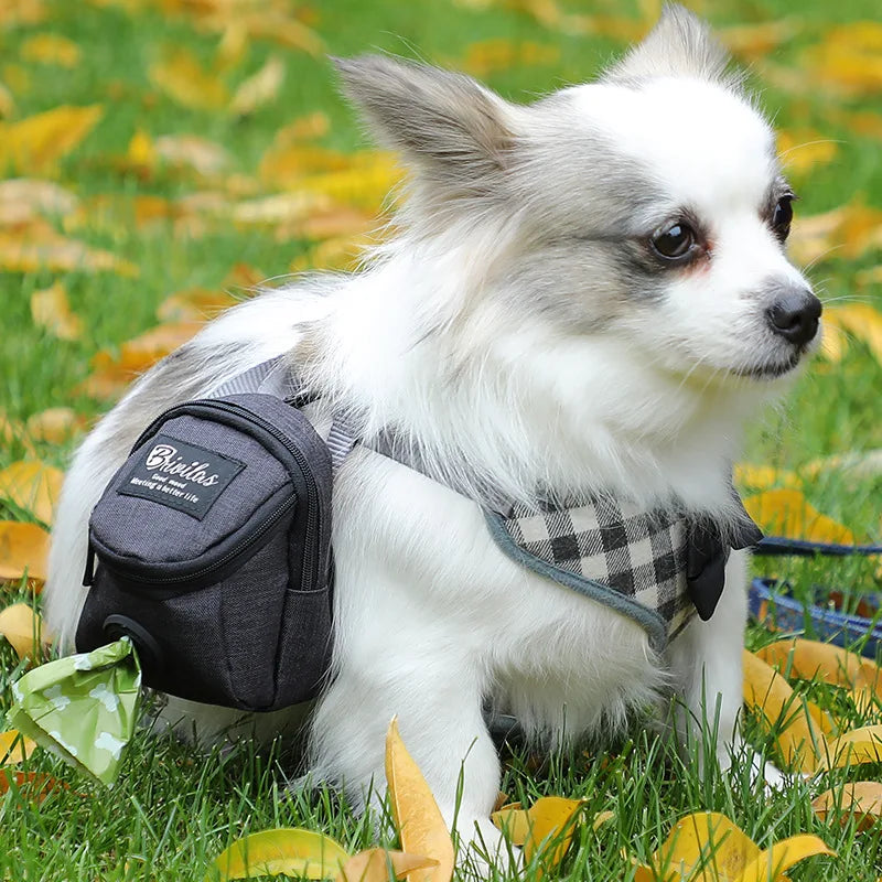 Pet Dog Treat Pouch and Poop Dispenser Portable