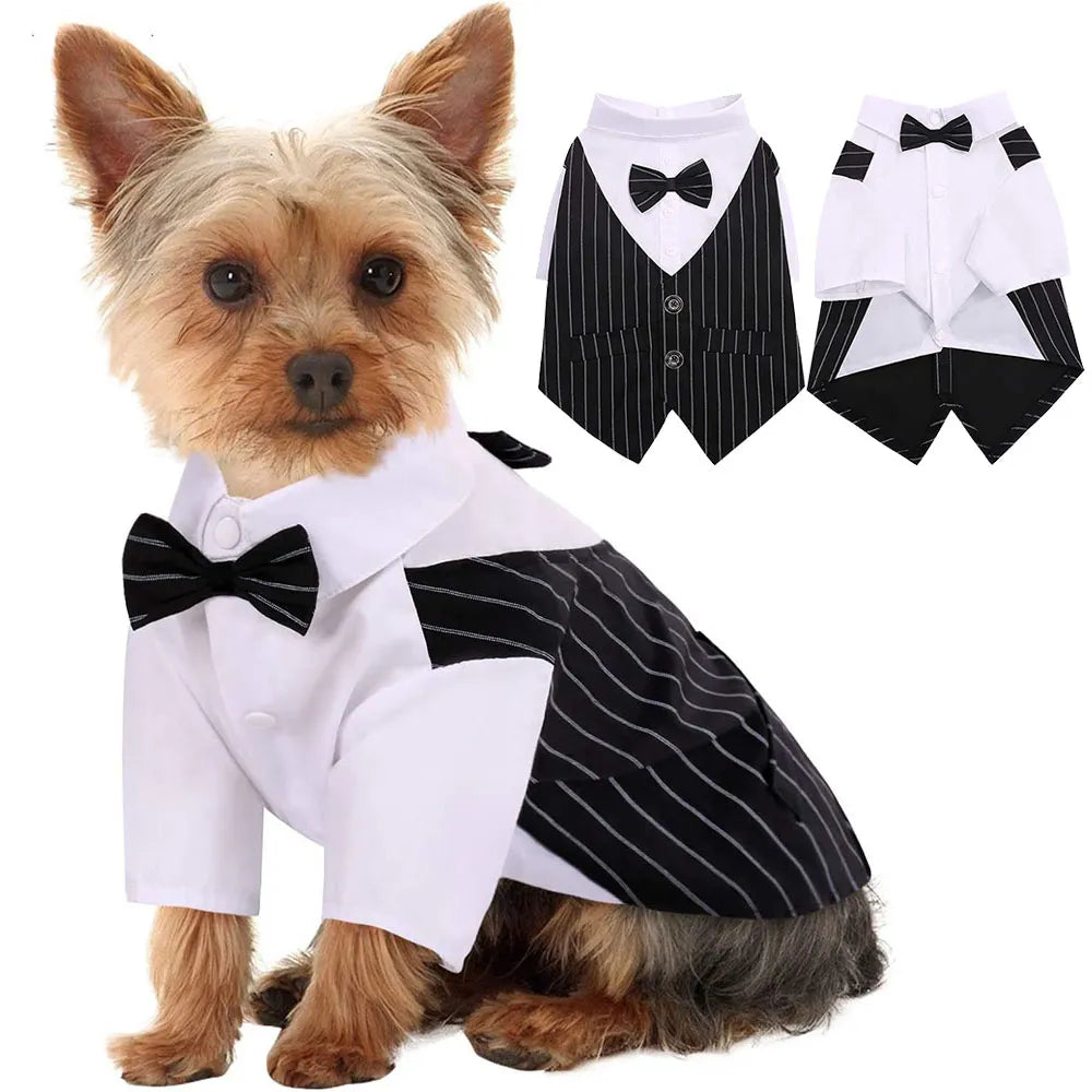 Tuxedo Suit with Bow-tie