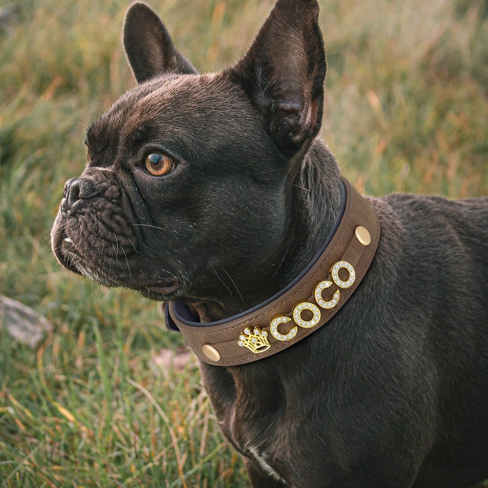 Custom Leather Personalized Dog Name Collar with DIY Bling Rhinestone