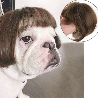 Pet Wigs Cosplay Props