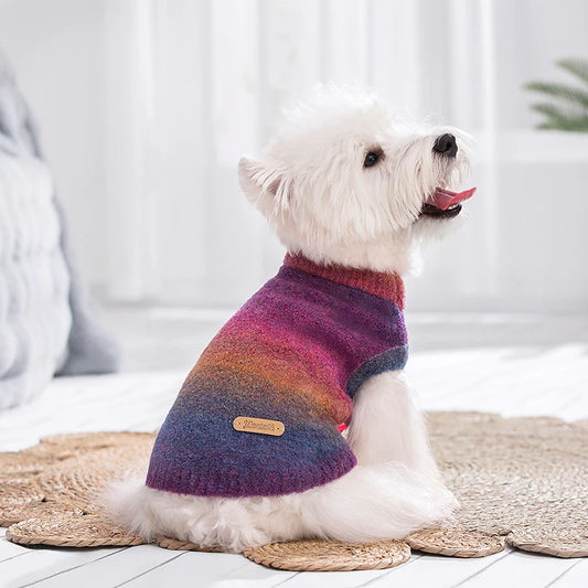 Trendy Puppy Fluffy Turtleneck Sweater