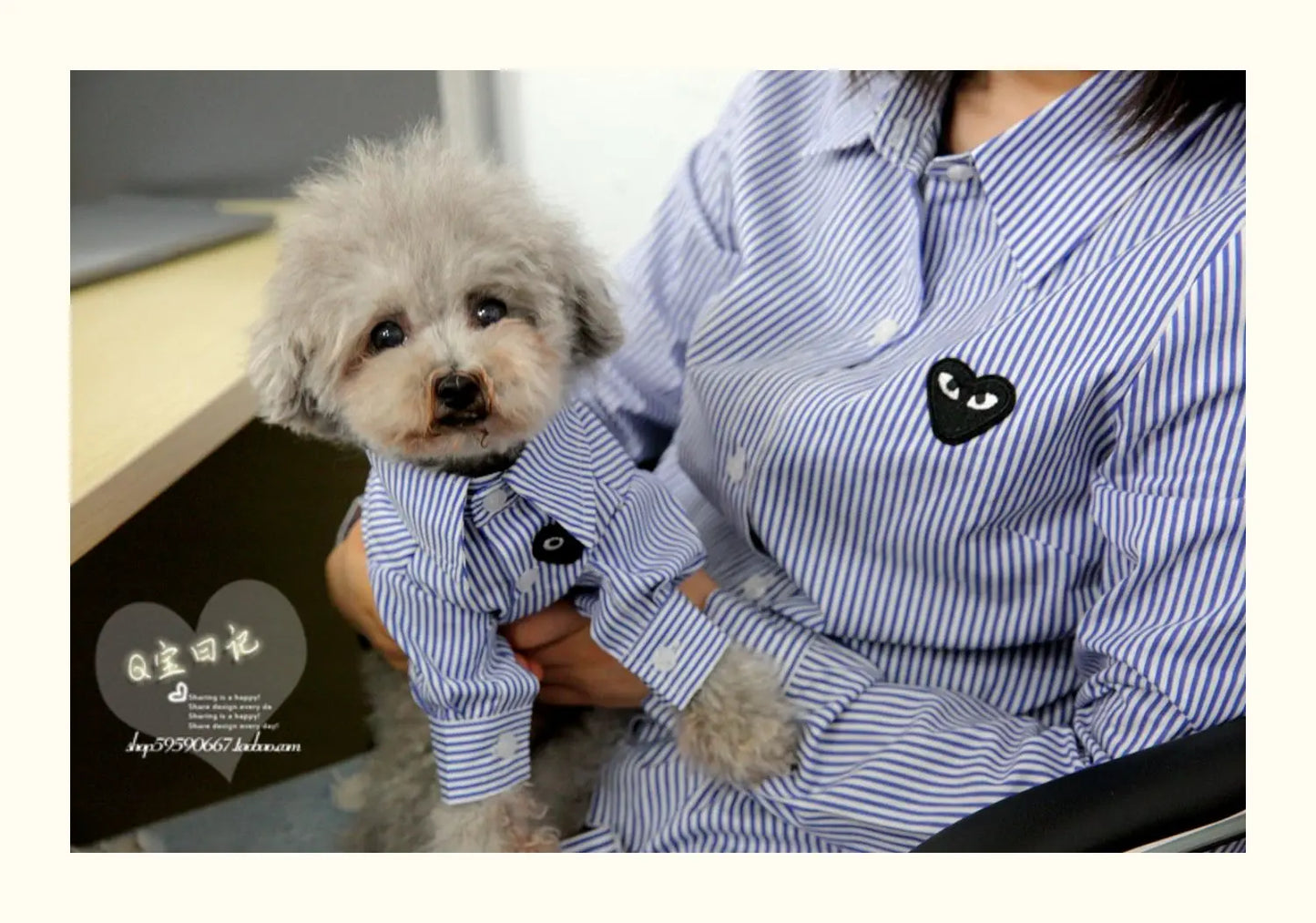 Pet and Owner matching shirts