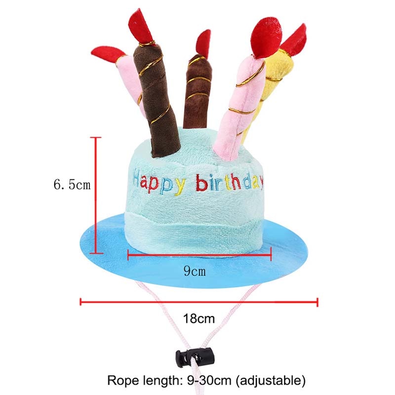 Birthday Cake Squeaky Toys and Accessories