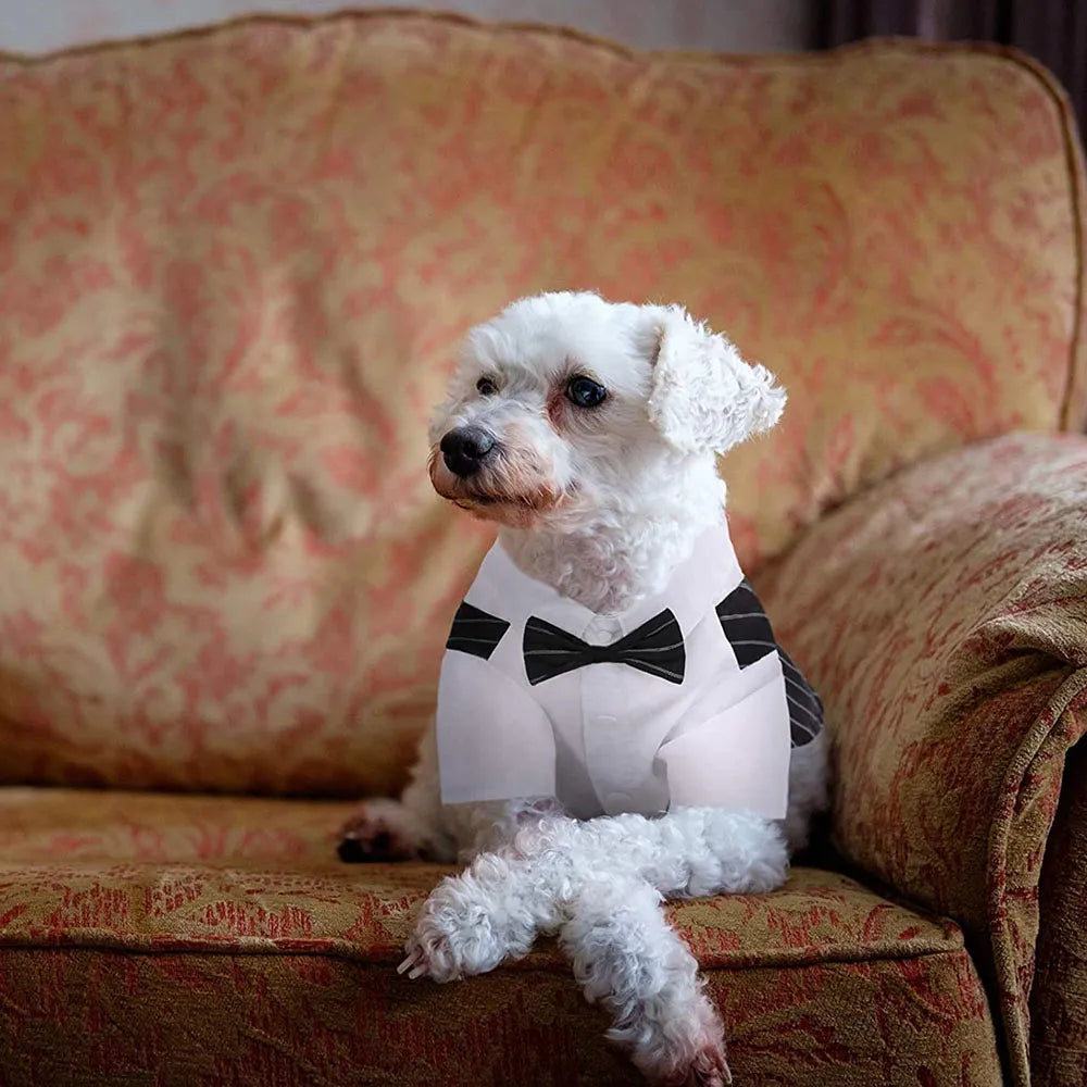 Tuxedo Suit with Bow-tie