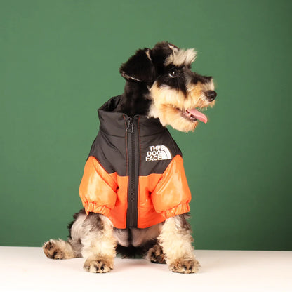 The Dog Face Windproof Reflective Jacket