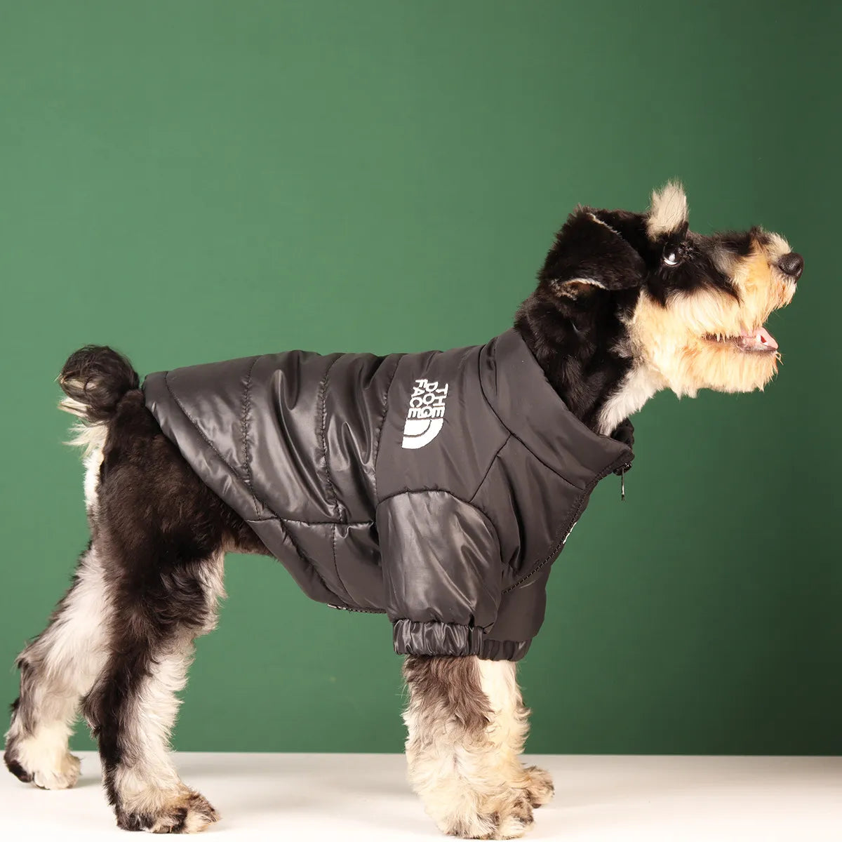 The Dog Face Windproof Reflective Jacket