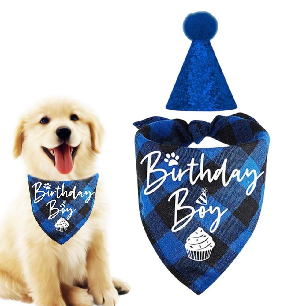 Birthday Pawty Hat and Triangle Scarf