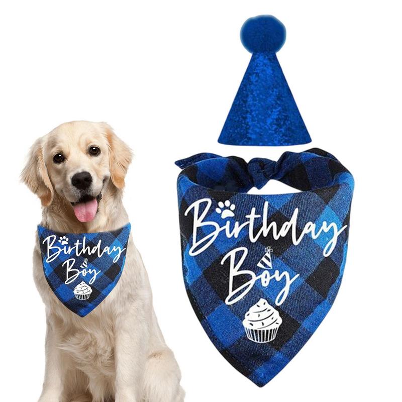 Birthday Pawty Hat and Triangle Scarf