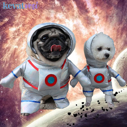 Astrounaut Costume