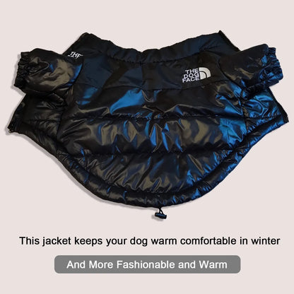 The Dog Face Windproof Reflective Jacket