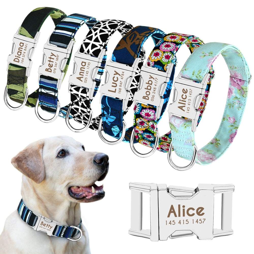 Personalized Nylon Pet Dog / Cat Collar