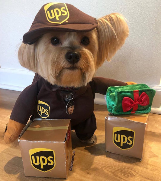 UPS / USPS Postal Courier Costume